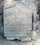 GATHERCOLE Harvey -1890