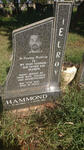 HAMMOND Elroy 1950-1993