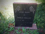 BALLOT Shiela 1931-1984