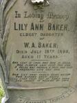 BAKER Lily Ann -1893