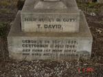 DAVID T. 1855-1946