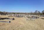 Eastern Cape, MACLEANTOWN, Old cemetery