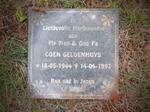 GELDENHUYS Coen 1944-1993