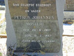MOSTERT Petrus Johannes 1907-1967