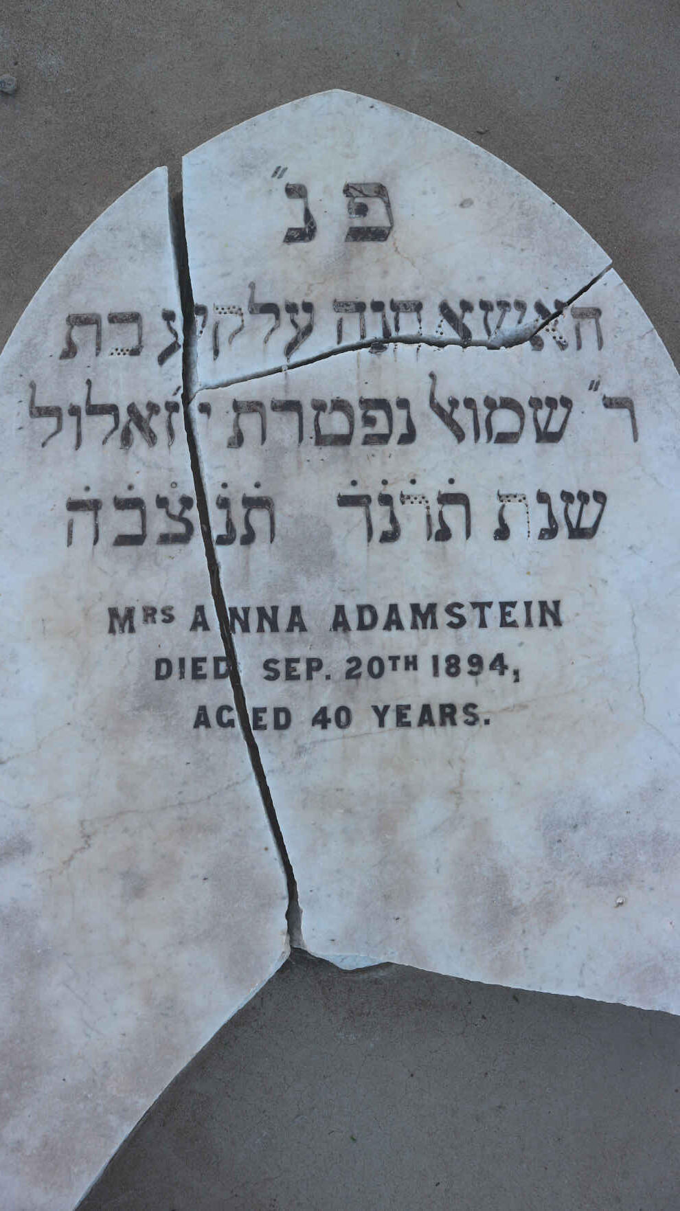 ADAMSTEIN Anna -1894