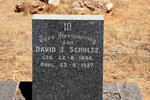 SCHOLTZ David J. 1889-1927