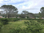 Eastern Cape, KING WILLIAM'S TOWN district, Breidbach, cemetery