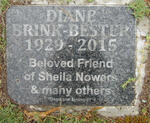 BESTER Diane, BRINK 1929-2015