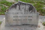 ASPINALL Elizabeth 1909-1909