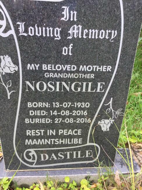 DASTILE Nosingile 1930-2016