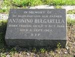 BULGARELLA Antonino 1888-1964
