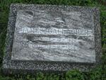 GALLAGHER James 1898-1986