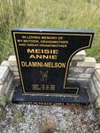 NELSON Meisie Annie, DLAMINI 1945-1992