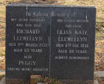 LLEWELLYN Richard -1938 & Lilian Kate -1978 :: LLEWELLYN Peggy