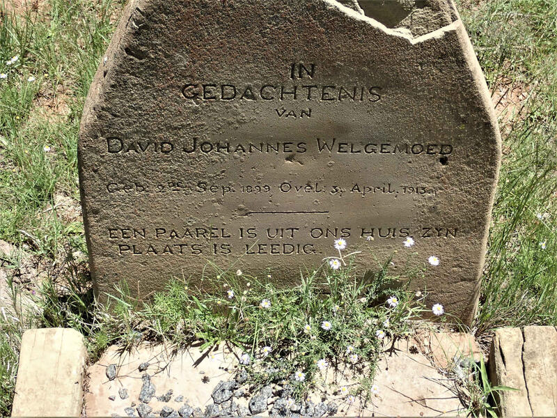 WELGEMOED David Johannes 1899-1913