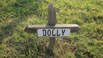? Dolly