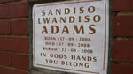 ADAMS Sandiso Lwandiso 2008-2008