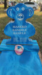 MASEKO Bandile Banele 2009-2009