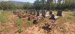 Gauteng, PRETORIA district, Pretoria West, Mootvallei, Kameeldrift 313, farm cemetery