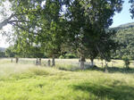 Eastern Cape, ADELAIDE district, Doringkloofrivier, Doornkloof 84, farm cemetery