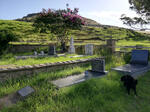 Eastern Cape, ADELAIDE district, Farm 83, Fontein, farm cemetery