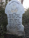 WIT Mechiel Joseas, de 1886-1886 :: DE WIT Dirkie Cornelia 1887-1888 :: DE WIT Christina Johanna 1897-1898