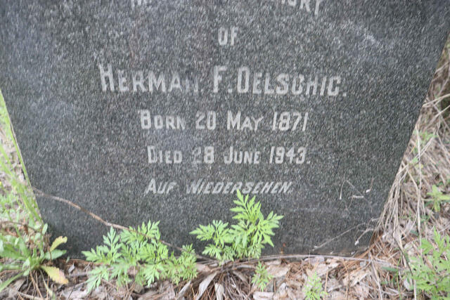 OELSCHIG Herman F. 1871-1943