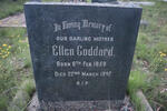 GODDARD Ellen 1859-1942