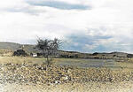 Northern Cape, HAY district, Steilberg near Boegoeberg, Daskop 302, farm cemetery