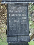 LINGENFELDER Philippes C. 1890-1916