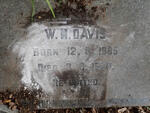 DAVIS W.M. 1885-1969