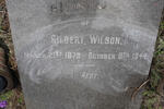 WILSON Gilbert 1879-1944