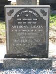 LICATA Angelo 1917-1983 :: LICATA Anthony 1956-1975