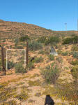 Northern Cape, NAMAQUALAND district, Garies, Studer's Pass, Wilgehout Fontein 428, Memorial