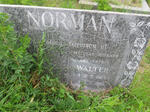 NORMAN Walter 1924-1990