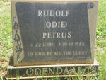 ODENDAAL Rudolf Petrus 1911-1988