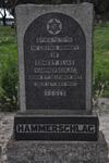 HAMMERSCHLAG Ernest Elias 1887-1941