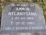 NTLANTSANA Ammon 1909-2003