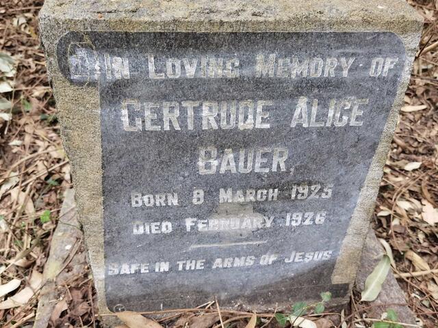 BAUER Gertrude Alice 1925-1926