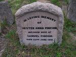 PINCHIN Hester Anna -1916