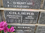 CILLIERS Adriaan Izak Wessels 1929-2007 & Maria Magdalena 1931-2014