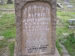 ANDERSON Alfred Jasper 1852-1924 & Sophia Rose -1947 :: ANDERSON Wilhelmina 1884-1974