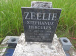 ZEELIE Stephanus Hercules 1914-1974