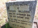 WILLEMSE Regina 1880-1963