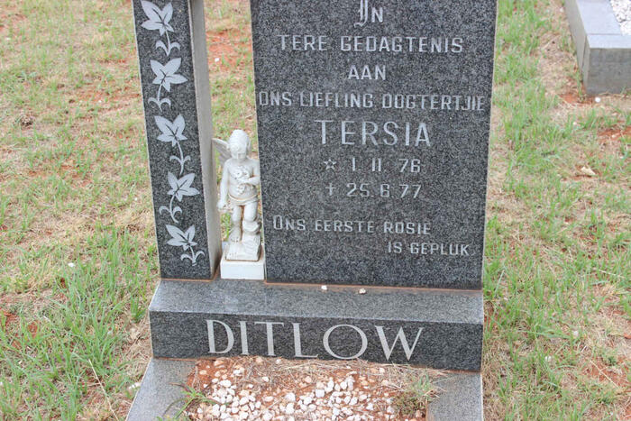 DITLOW Tersia 1976-1977