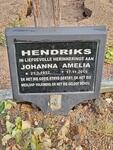 HENDRIKS Johanna Amelia 1952-2015
