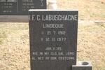 LABUSCHAGNE I.F.C. nee LINDEQUE 1912-1977