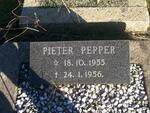 PEPPER Pieter 1955-1956