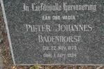 BADENHORST Pieter Johannes 1873-1934