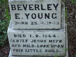 YOUNG Beverley E. 1963-1964